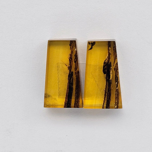 Amber authentic cabochon pair large