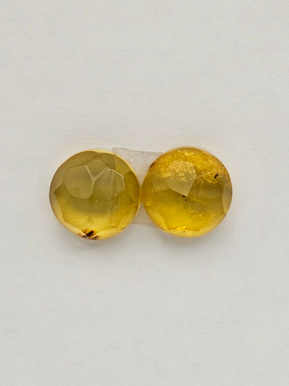 Amber authentic cabochon pair large