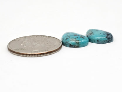 Mexican Turquoise Pair with Pyrite | Artisan Cut Gemstone