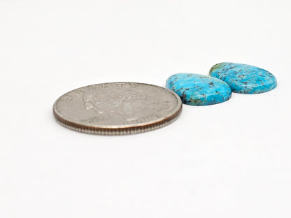 Mexican Turquoise Pair | Artisan Cut Gemstone