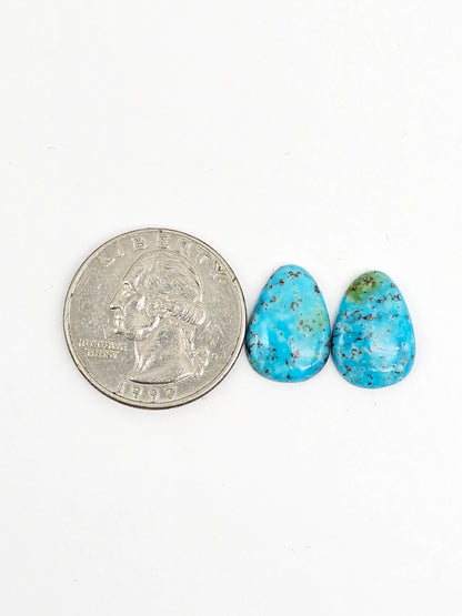 Mexican Turquoise Pair | Artisan Cut Gemstone