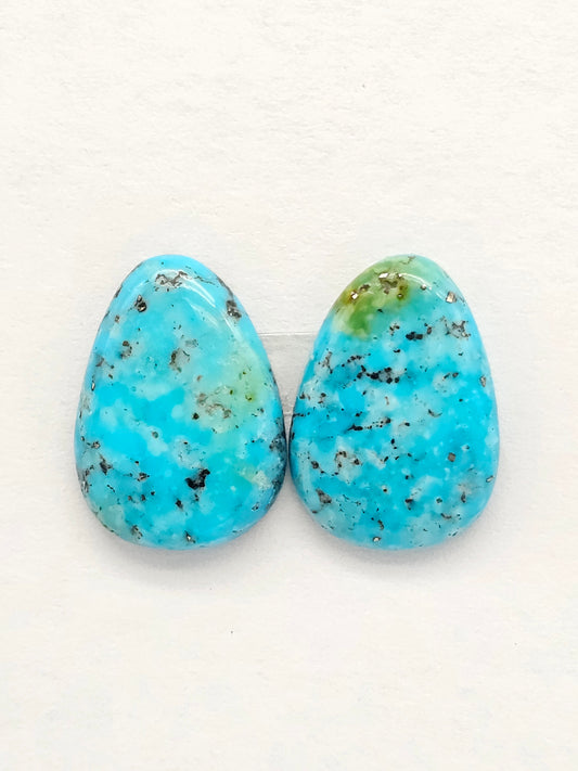 Mexican Turquoise Pair | Artisan Cut Gemstone
