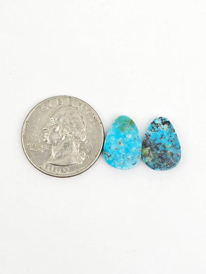 Mexican Turquoise Pair | Artisan Cut Gemstone