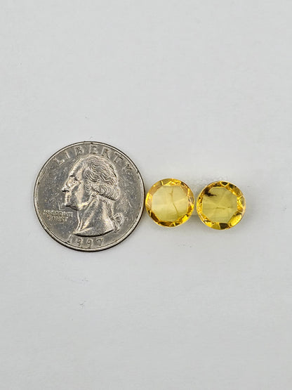 Amber authentic cabochon pair large
