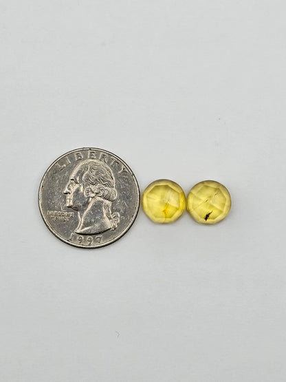 Amber authentic cabochon pair large