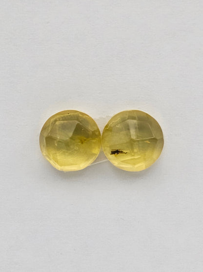 Amber authentic cabochon pair large