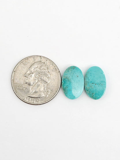 Mexican Turquoise Pair | Artisan Cut Gemstone