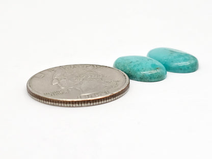 Mexican Turquoise Pair | Artisan Cut Gemstone