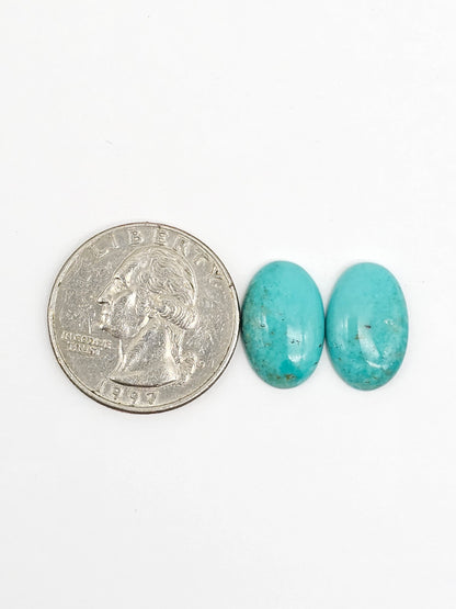 Mexican Turquoise Pair | Artisan Cut Gemstone