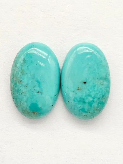 Mexican Turquoise Pair | Artisan Cut Gemstone