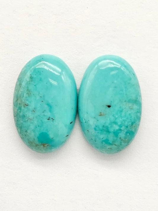 Mexican Turquoise Pair | Artisan Cut Gemstone