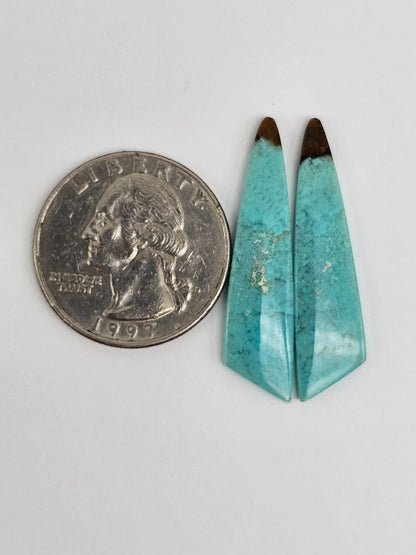 Chrysocolla Cabochon Pair