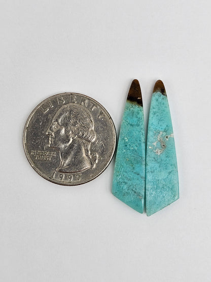Chrysocolla Cabochon Pair