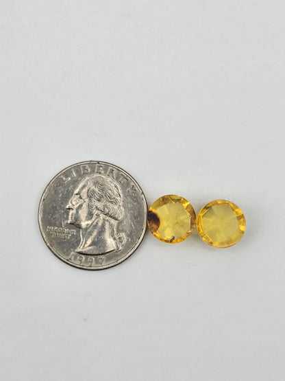 Amber authentic cabochon pair large