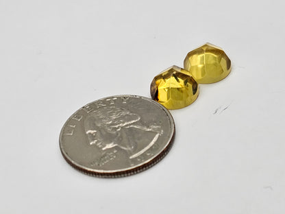 Amber authentic cabochon pair large