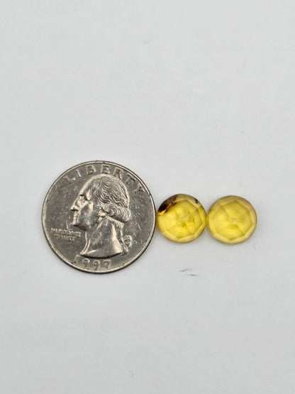 Amber authentic cabochon pair large