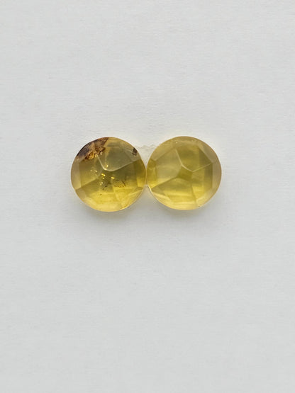Amber authentic cabochon pair large