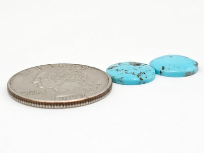 Mexican Turquoise Pair with Pyrite | Artisan Cut Gemstone