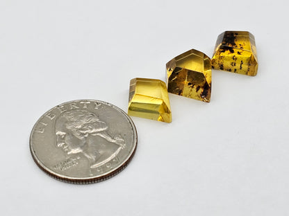 Amber half faceted set