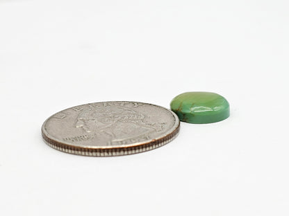 Mexican Turquoise Cabochon | Artisan Cut Gemstone