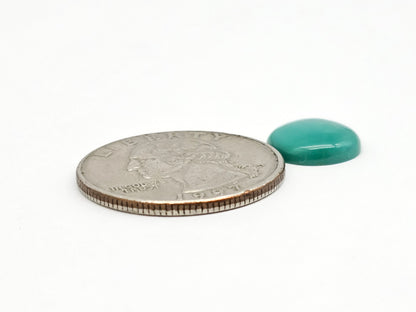 Mexican Turquoise Cabochon | Artisan Cut Gemstone