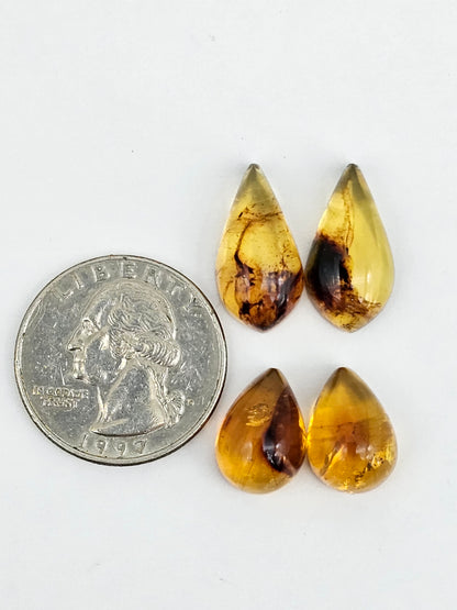 Amber authentic cabochon pair lot