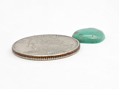 Mexican Turquoise Cabochon | Artisan Cut Gemstone