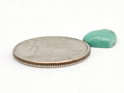 Mexican Turquoise Cabochon | Artisan Cut Gemstone
