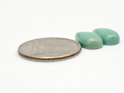 Mexican Turquoise Pair | Artisan Cut Gemstone