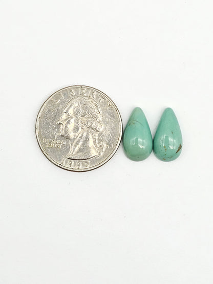 Mexican Turquoise Pair | Artisan Cut Gemstone