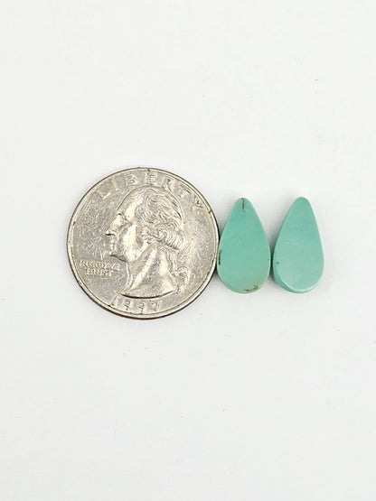 Mexican Turquoise Pair | Artisan Cut Gemstone