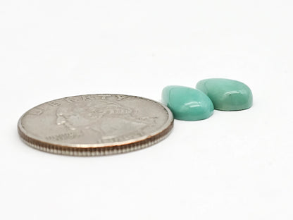 Mexican Turquoise Pair | Artisan Cut Gemstone