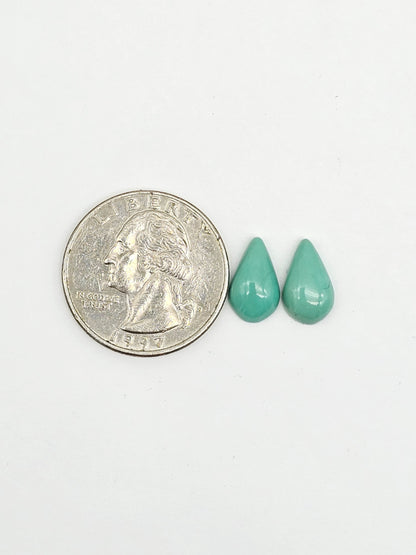 Mexican Turquoise Pair | Artisan Cut Gemstone