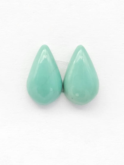Mexican Turquoise Pair | Artisan Cut Gemstone