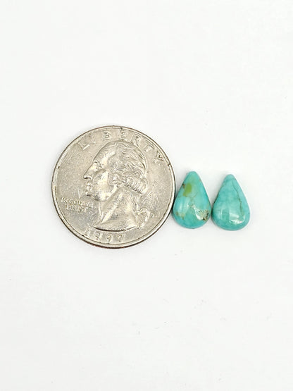 Mexican Turquoise Pair | Artisan Cut Gemstone