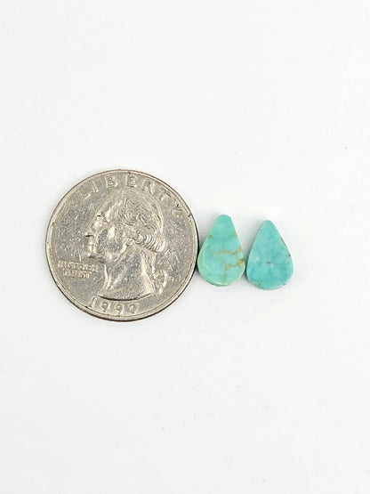 Mexican Turquoise Pair | Artisan Cut Gemstone
