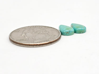 Mexican Turquoise Pair | Artisan Cut Gemstone