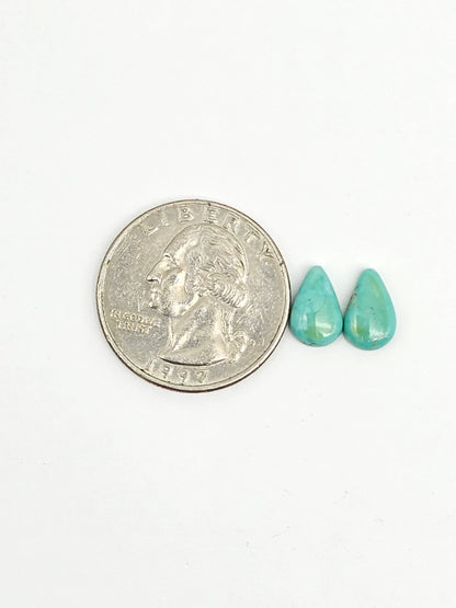 Mexican Turquoise Pair | Artisan Cut Gemstone