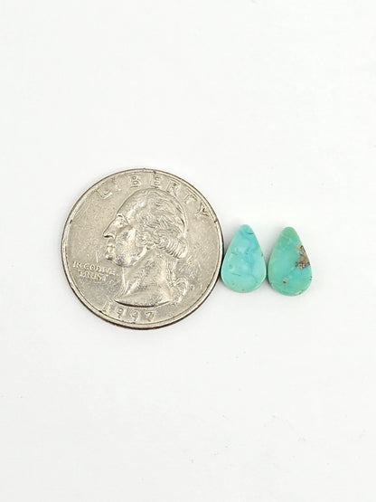Mexican Turquoise Pair | Artisan Cut Gemstone