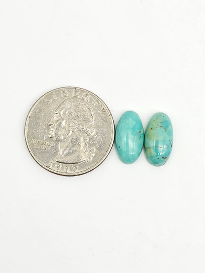 Mexican Turquoise Pair | Artisan Cut Gemstone