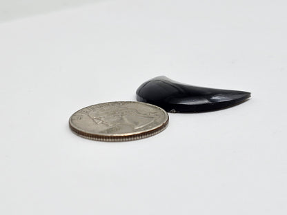 Gold sheen Obsidian Moon Cabochon