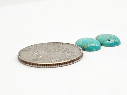 Mexican Turquoise Pair | Artisan Cut Gemstone