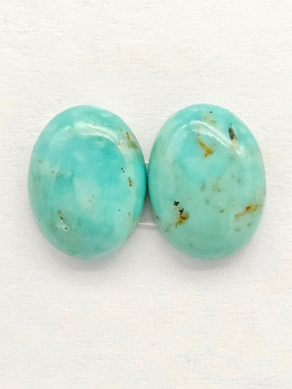 Mexican Turquoise Pair | Artisan Cut Gemstone