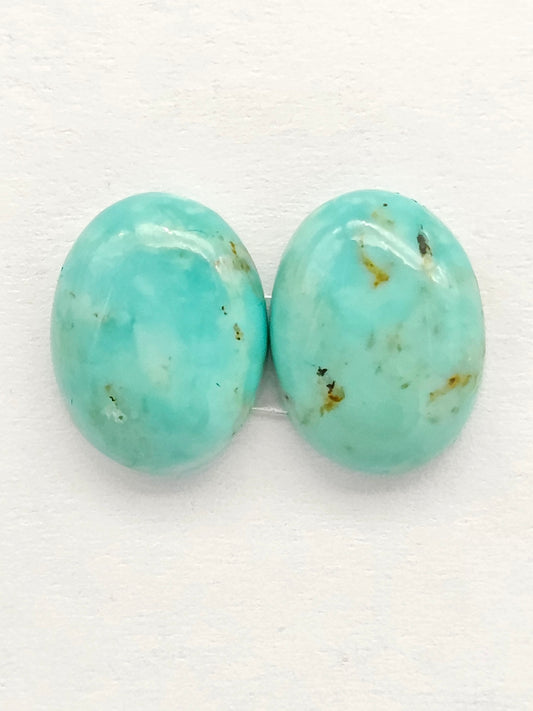 Mexican Turquoise Pair | Artisan Cut Gemstone