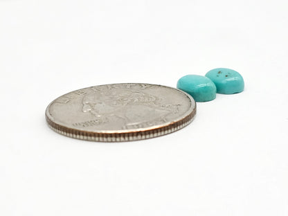 Mexican Turquoise Pair | Artisan Cut Gemstone