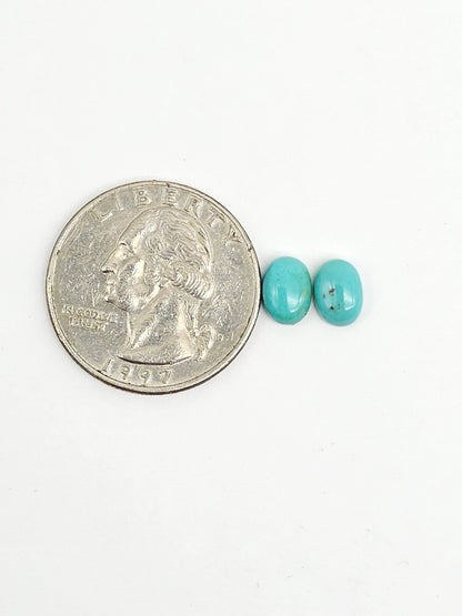 Mexican Turquoise Pair | Artisan Cut Gemstone