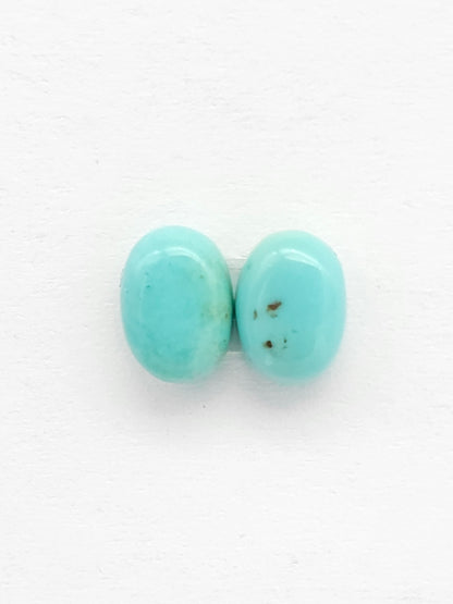 Mexican Turquoise Pair | Artisan Cut Gemstone