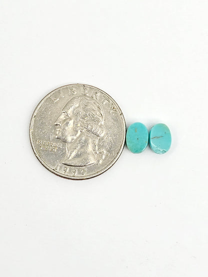 Mexican Turquoise Pair | Artisan Cut Gemstone