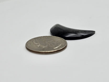 Silver Sheen Obsidian Moon Cabochon | Natural Mexican Obsidian for Metalsmiths