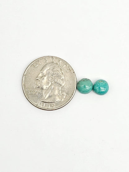 Mexican Turquoise Pair | Artisan Cut Gemstone